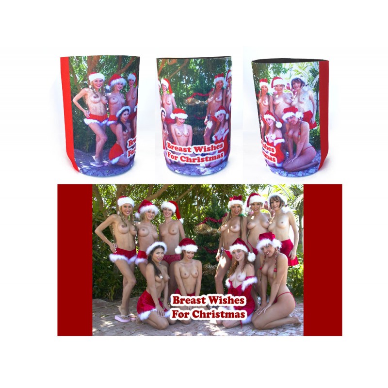 Breast Wishes for Christmas - Stubby Holder